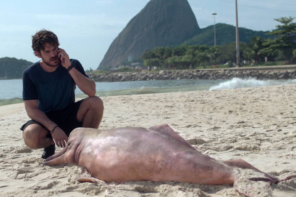Foto mostra homem em praia olhando um boto cor de rosa morto