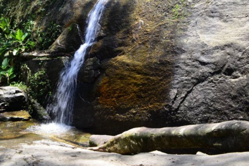 Foto mostra cachoeira dos primatas
