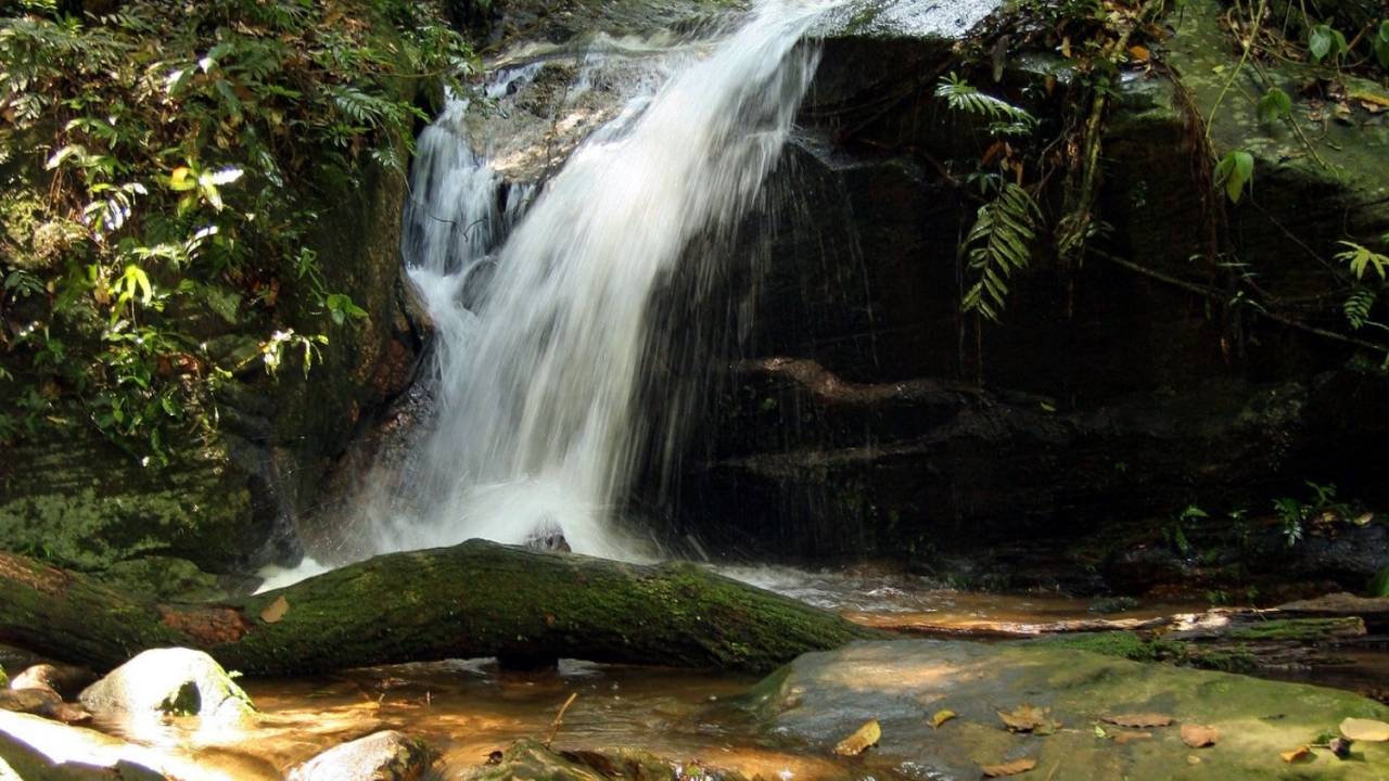 Foto mostra a cachoeira do Horto