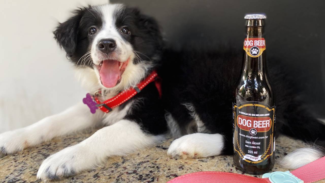 Foto mostra cachorro preto e branco mostrando a língua com uma garrafa de cerveja ao lado