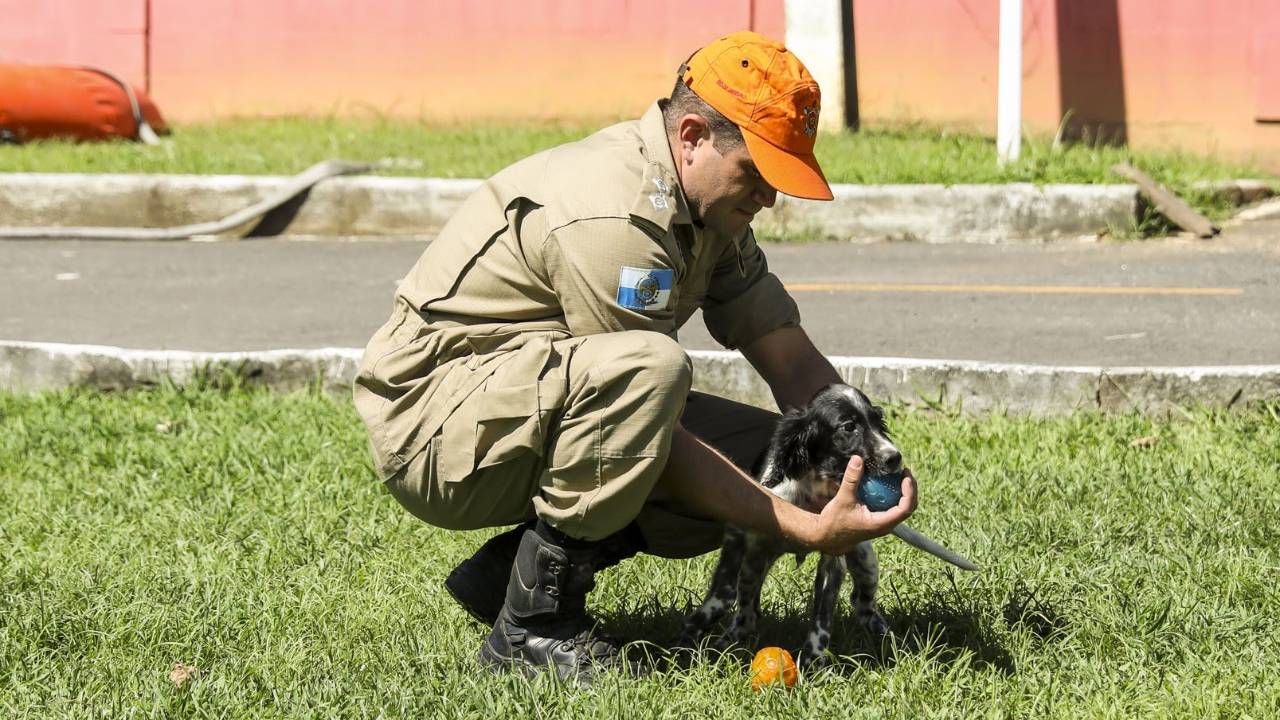 Foto mostra treinador de cães com filhote