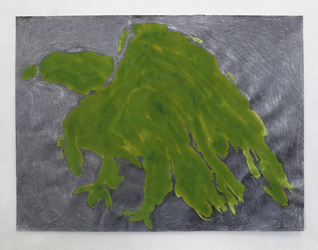 Tela Águia, de Carmela Gross, em grafite, ecoline e fixador verniz e sobre papel Hahnemühle 80gr. O resultado é uma sombra verde-claro de uma águia sobre cinza.