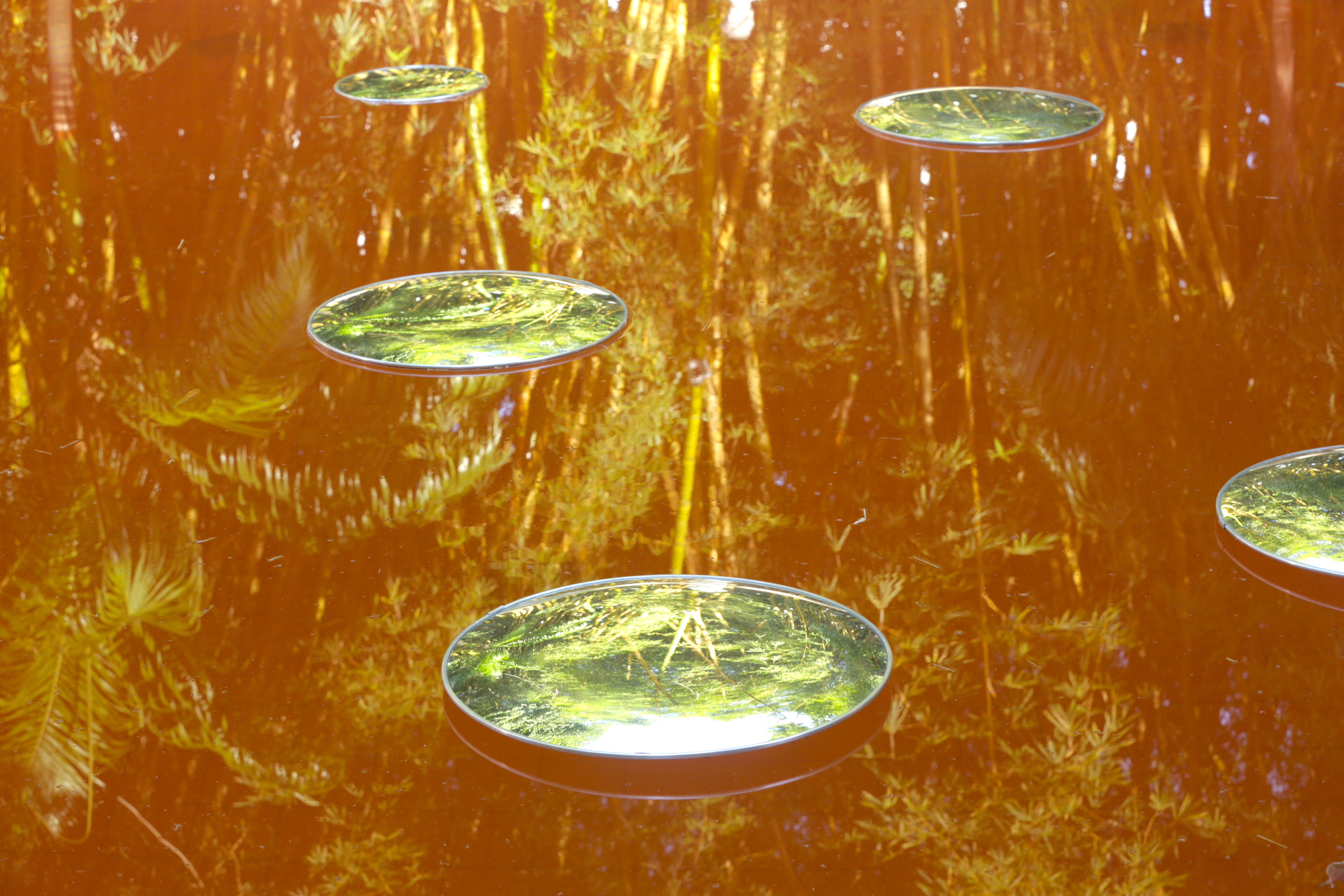 Instalação Maritza Caneca