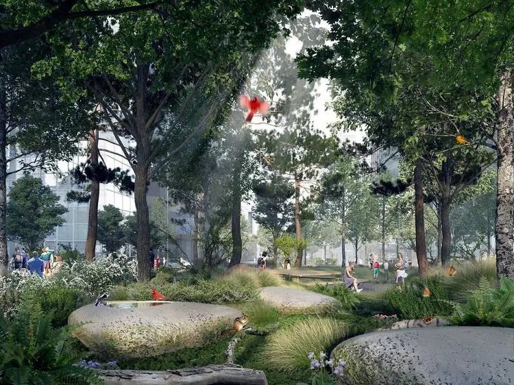7image A gigantesca floresta urbana de Montreal, no Canadá