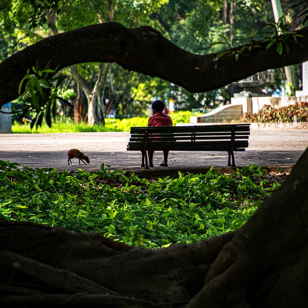 Homem é fotografado em banco da Praça da República (Campo de Santanna)