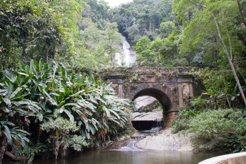 Foto mostra parte do Parque Nacional da Tijuca