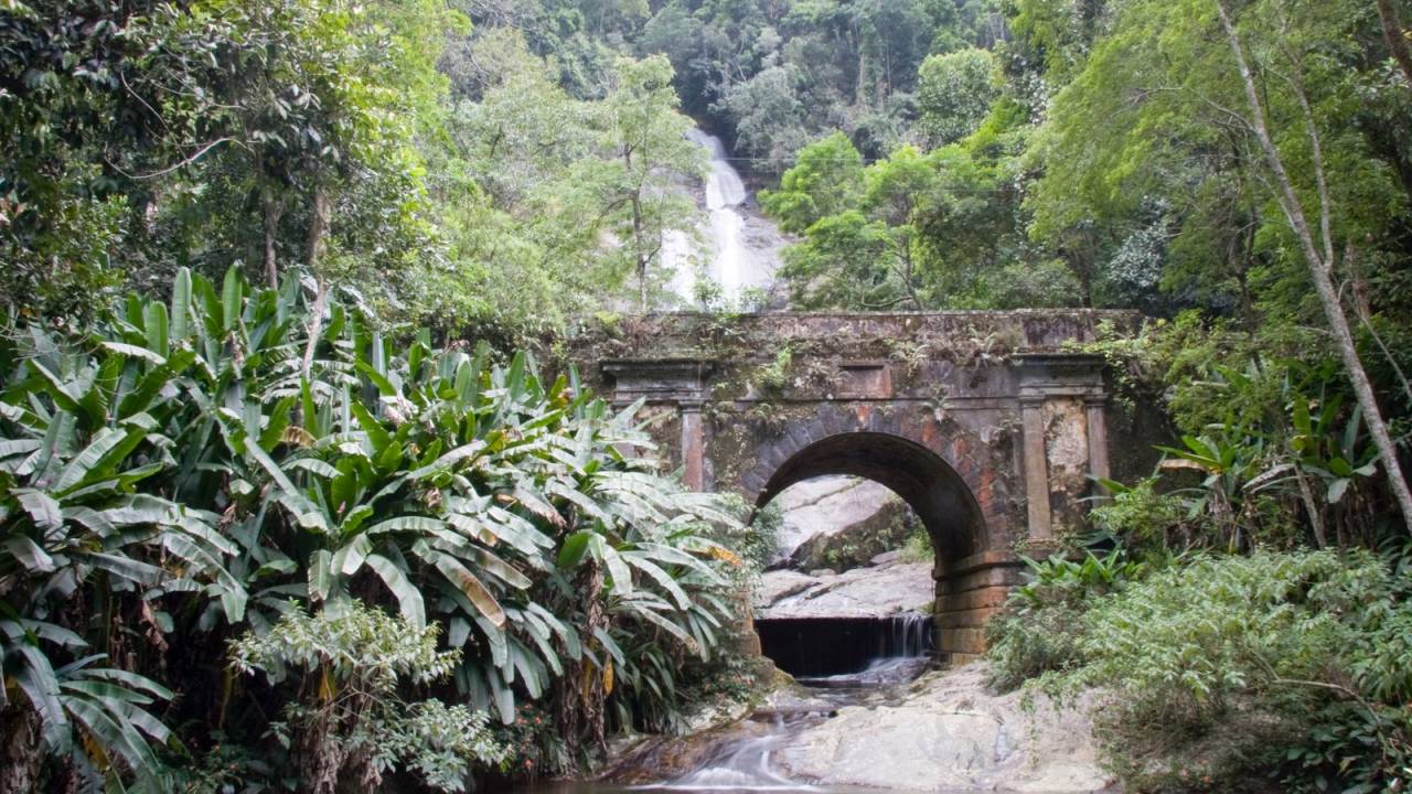 Foto mostra parte do Parque Nacional da Tijuca