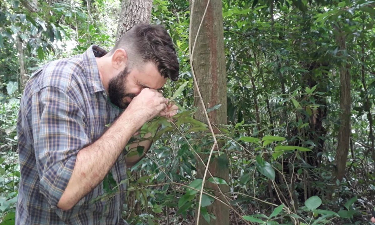 Levantamento mostra as espécies da fauna e da flora ameaçadas de extinção no Rio