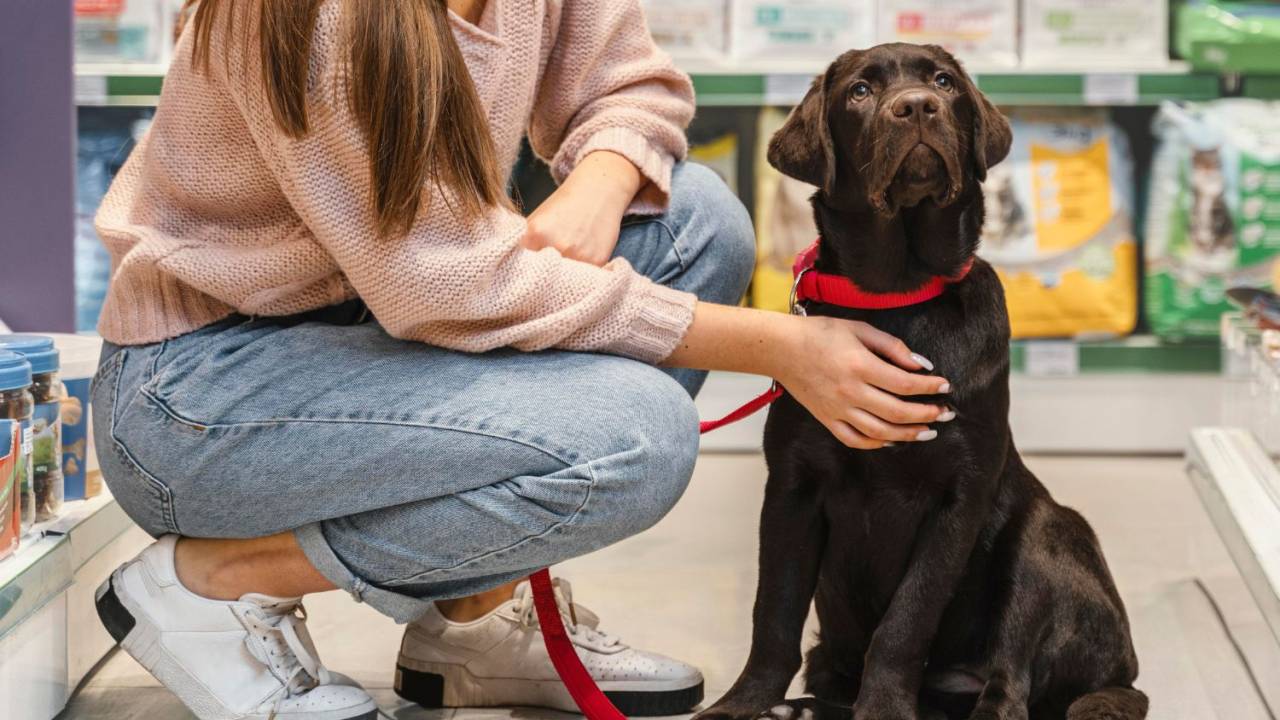 Foto mostra cachorro em loja acompanhado de dona