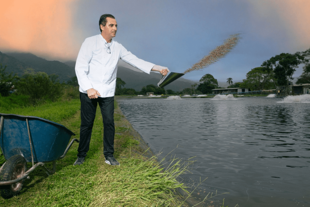 Damien Montecer: chef trabalha com fazenda marinha de água salgada