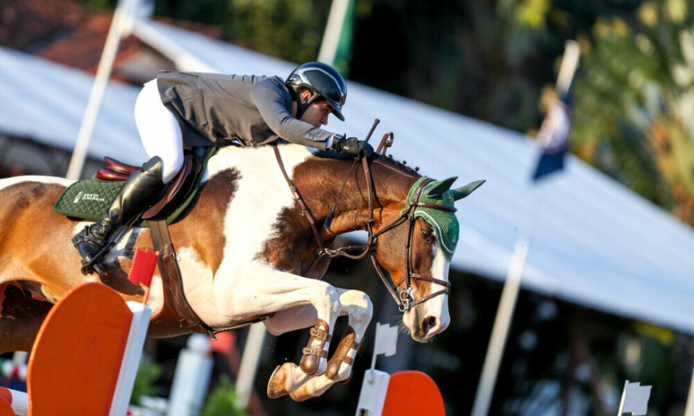 Campeões sul-americanos de hipismo disputam torneio de saltos na Hípica