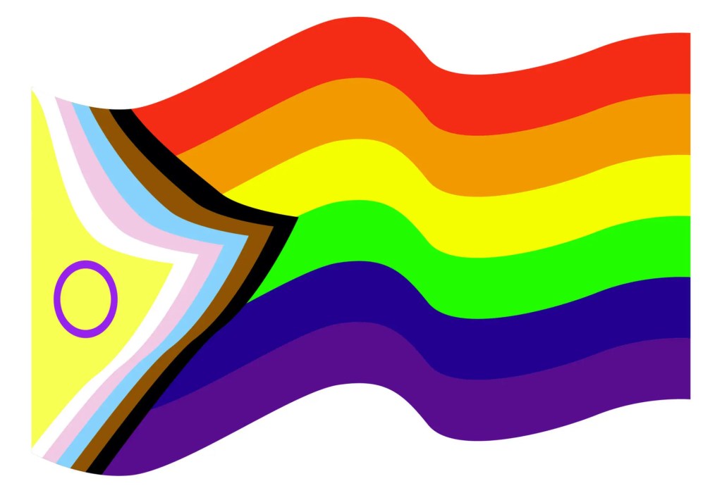 Foto mostra nova bandeira LGBTQIAPN