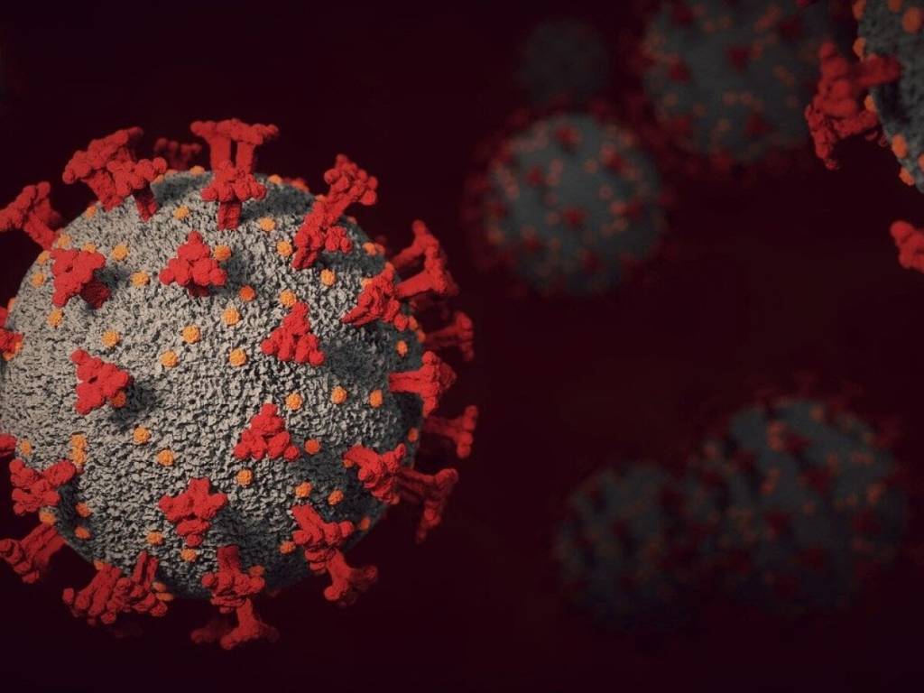 Ilustração simula variante do coronavírus