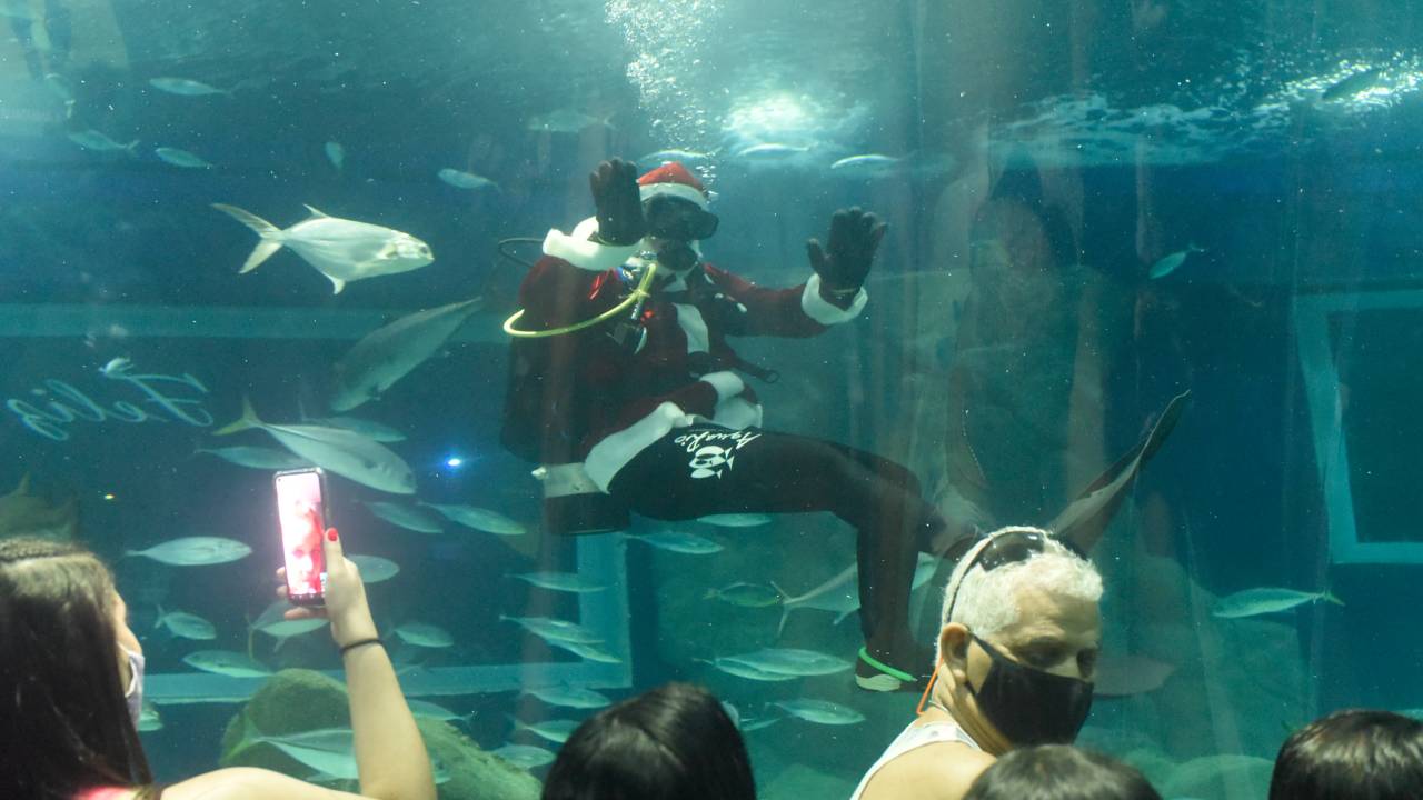 Foto mostra Papai Noel em tanque de enorme aquário