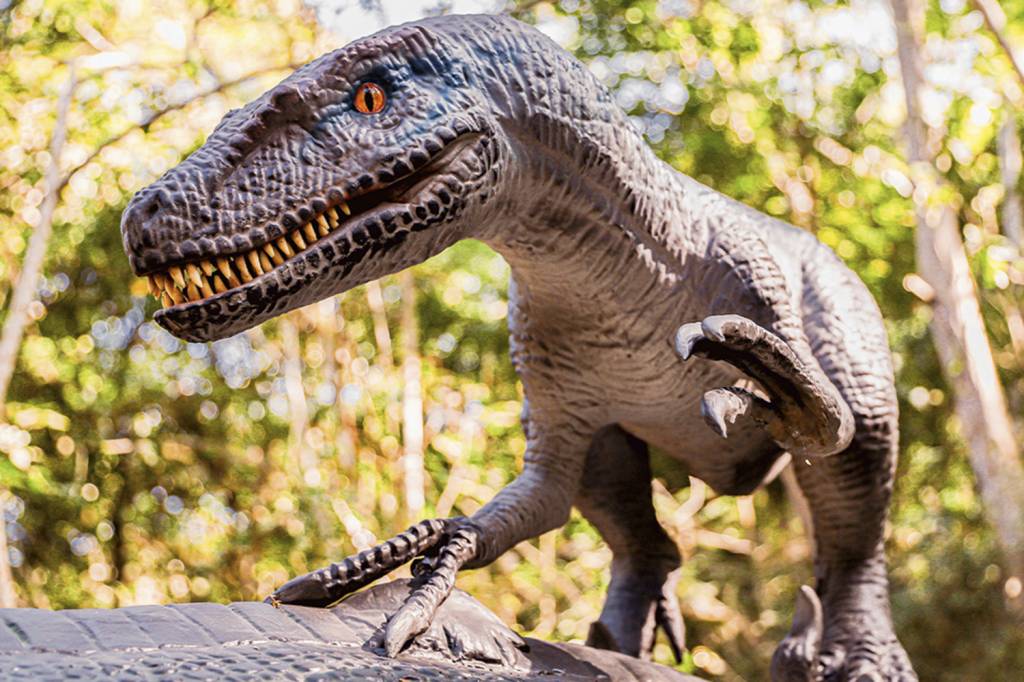 Terra-dos-Dinos-(3).jpg Terra dos Dinos