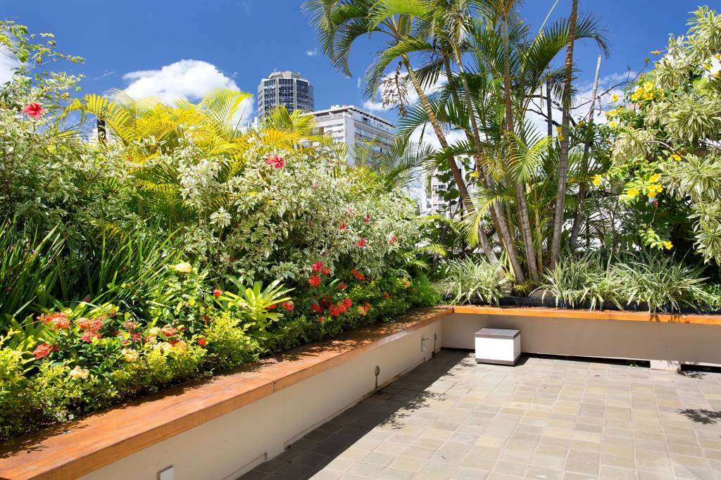 terraco-ganha-paisagismo-com-plantas-altas-para-criar-privacidade-3 Terraço ganha paisagismo com plantas altas para criar privacidade