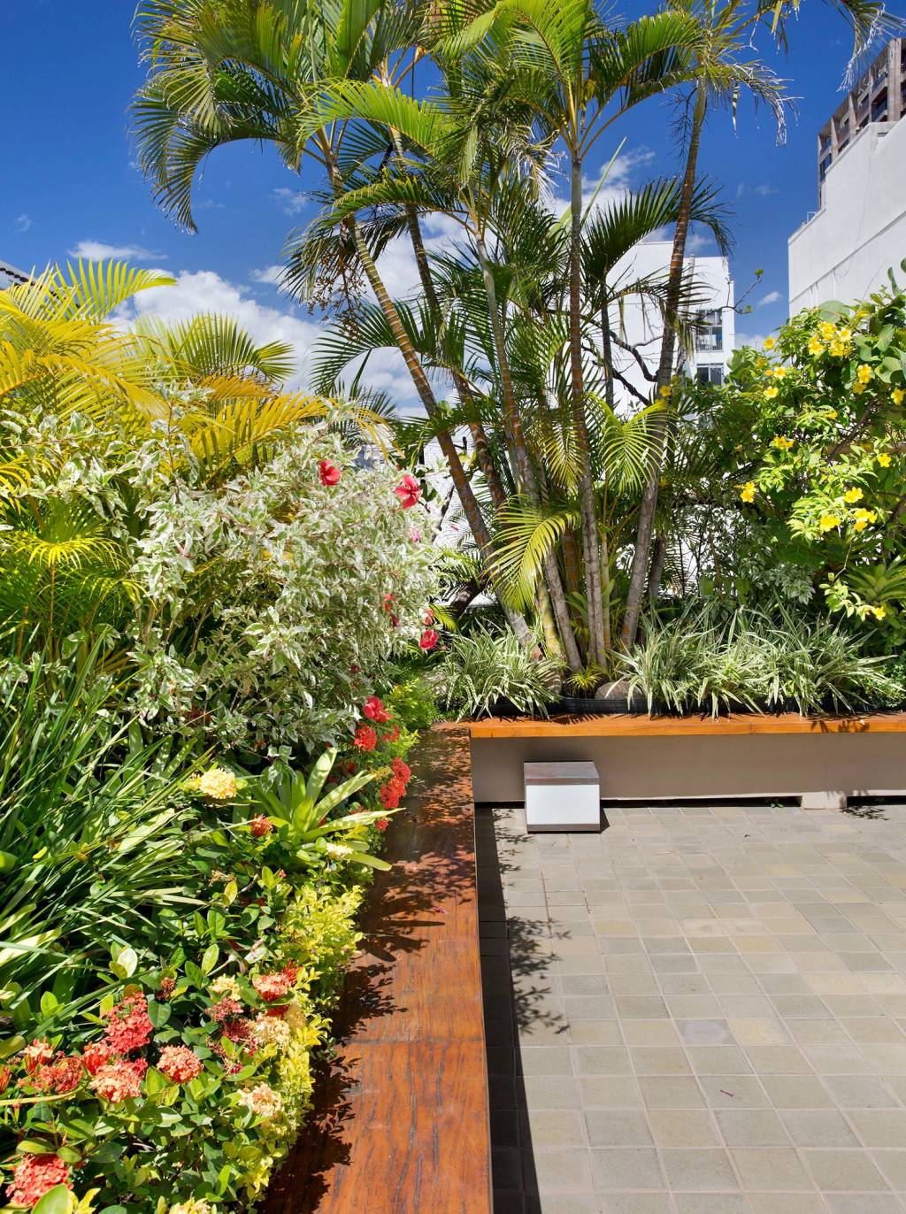 terraco-ganha-paisagismo-com-plantas-altas-para-criar-privacidade-5 Terraço ganha paisagismo com plantas altas para criar privacidade