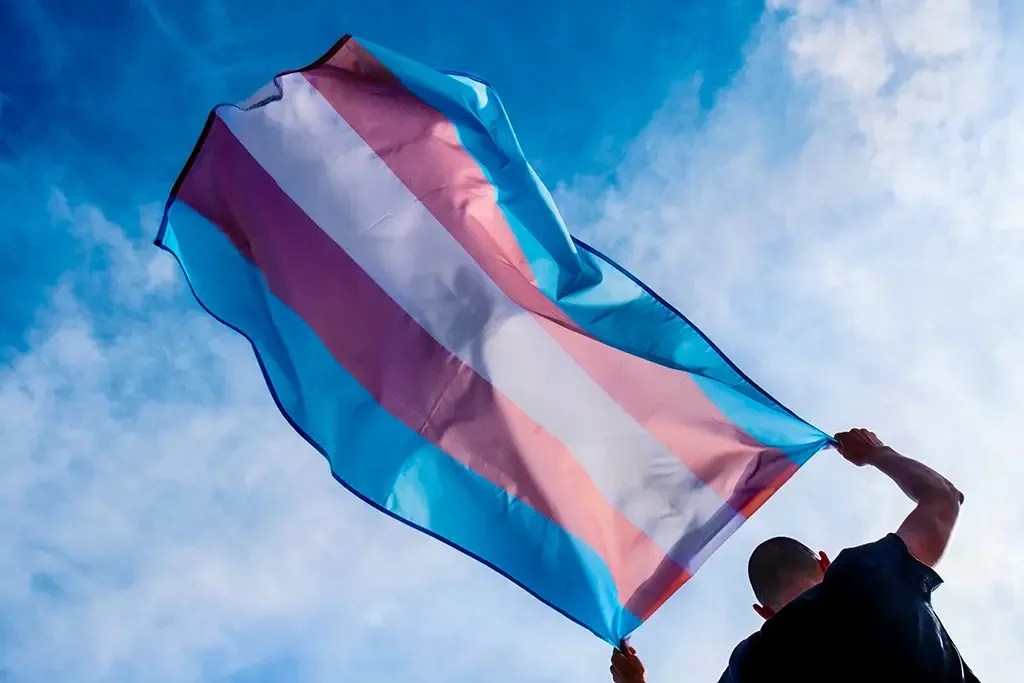 Foto mostra bandeira trans