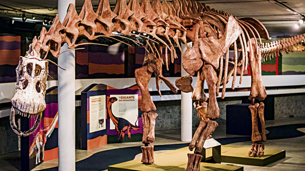 Expodinos — O Maior Dinossauro do Mundo