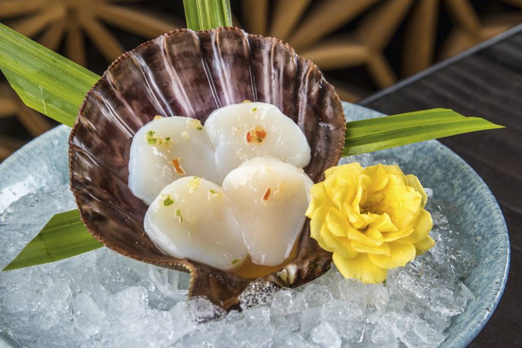 Por dentro das conchas