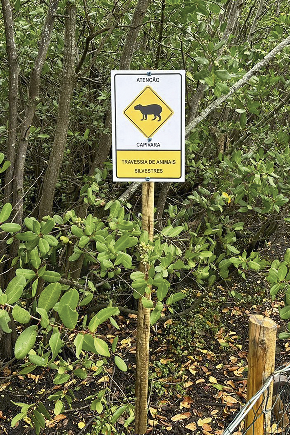 Atenção à sinalização: placas alertam sobre os animais perto do Parque da Catacumba