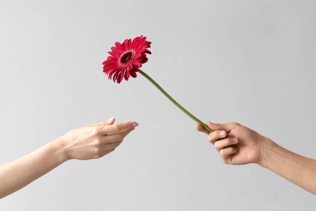 Faça amor, não faça a guerra: campanha viraliza na internet incentivando comunidade escolar a trocar gentilezas como flores e chocolates.