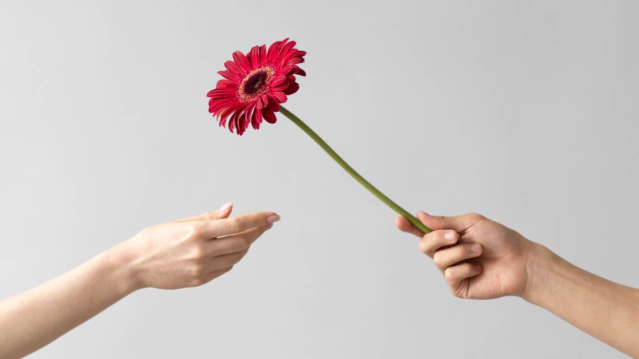 Faça amor, não faça a guerra: campanha viraliza na internet incentivando comunidade escolar a trocar gentilezas como flores e chocolates.