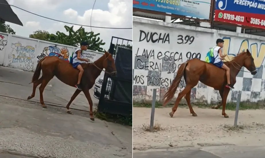 Foto mostra menino em cima de cavalo