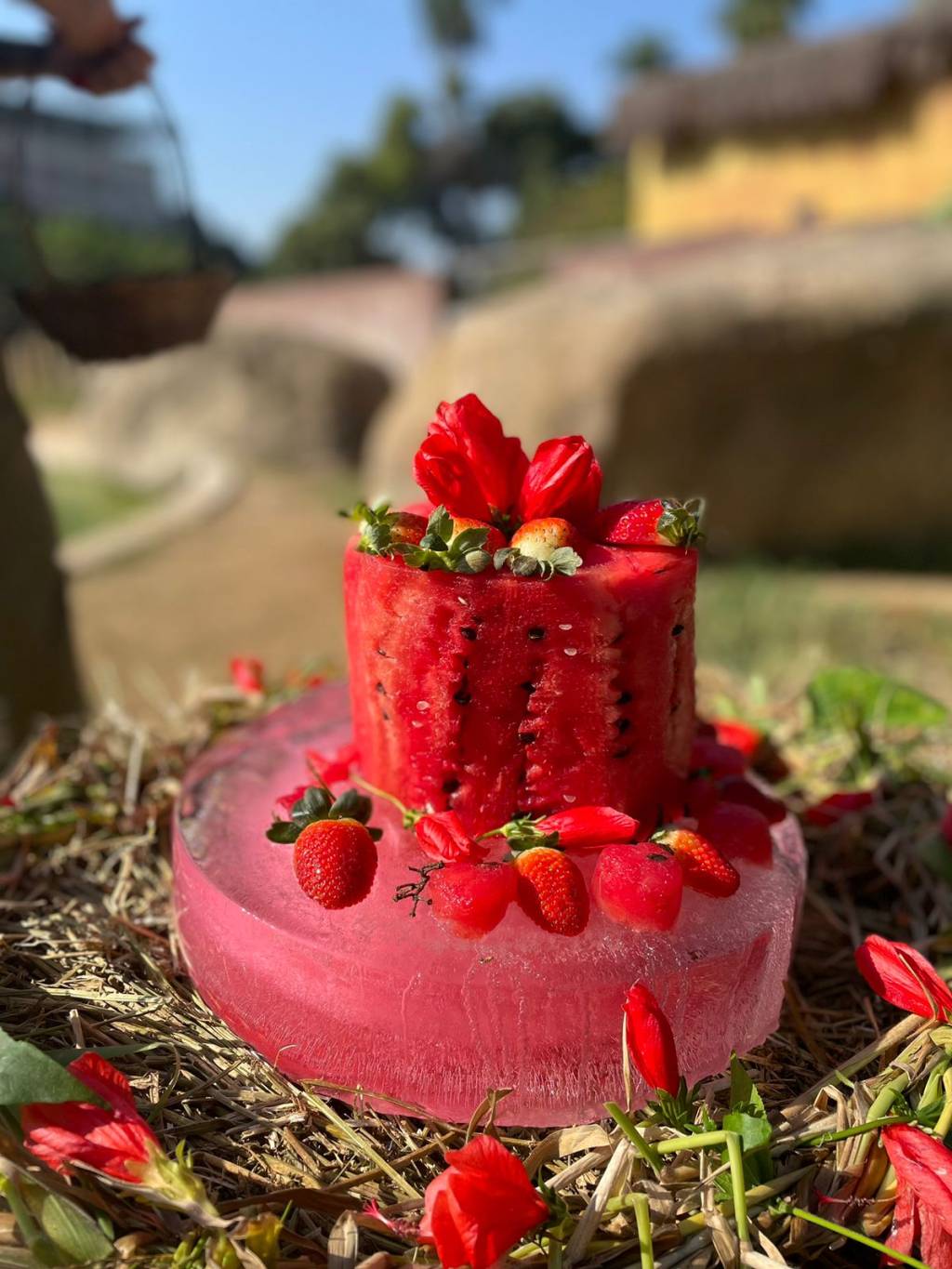 Foto mostra bolo de frutas