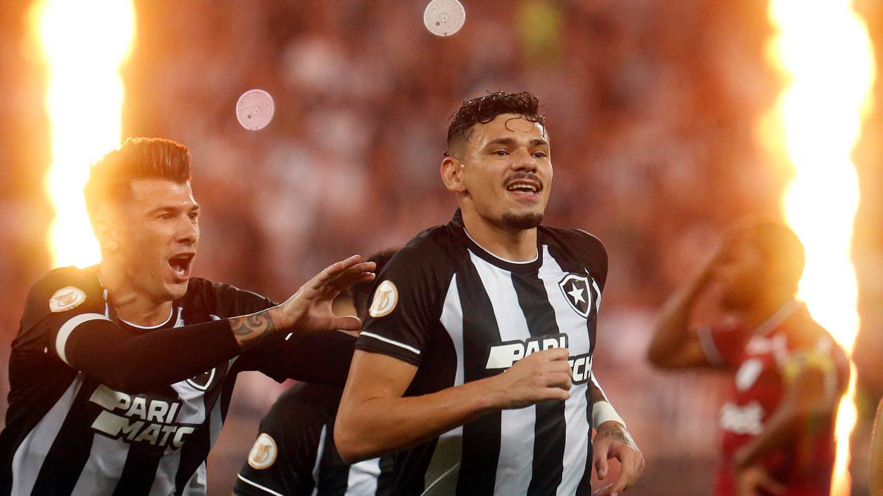 Tiquinho Soares, centroavante do Botafogo, comemora o gol