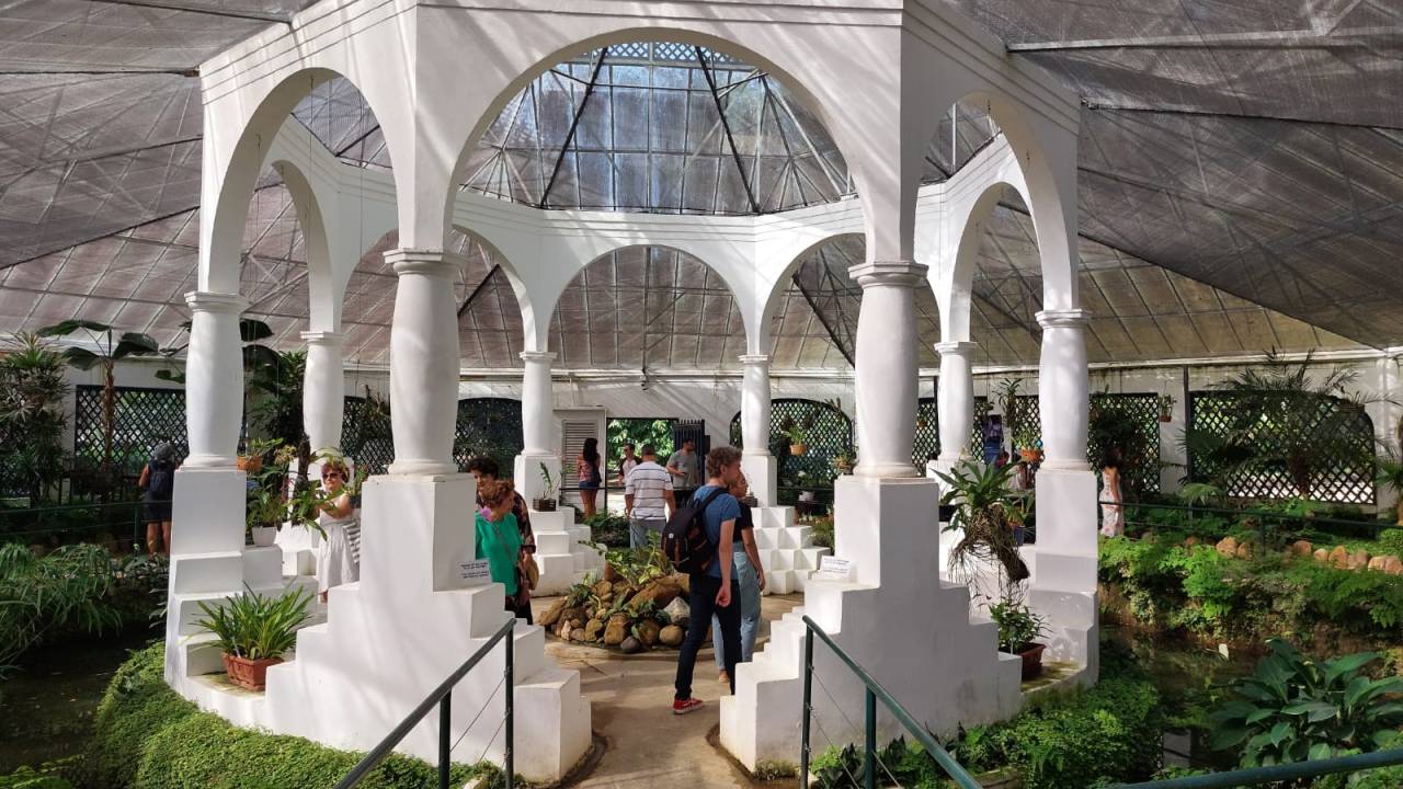 Foto mostra Orquidário do Jardim Botãnico por dentro, com suas pilastras brancas imponentes