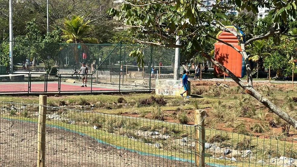 Trecho que passou pela naturalização na Lagoa Foto Divulgação