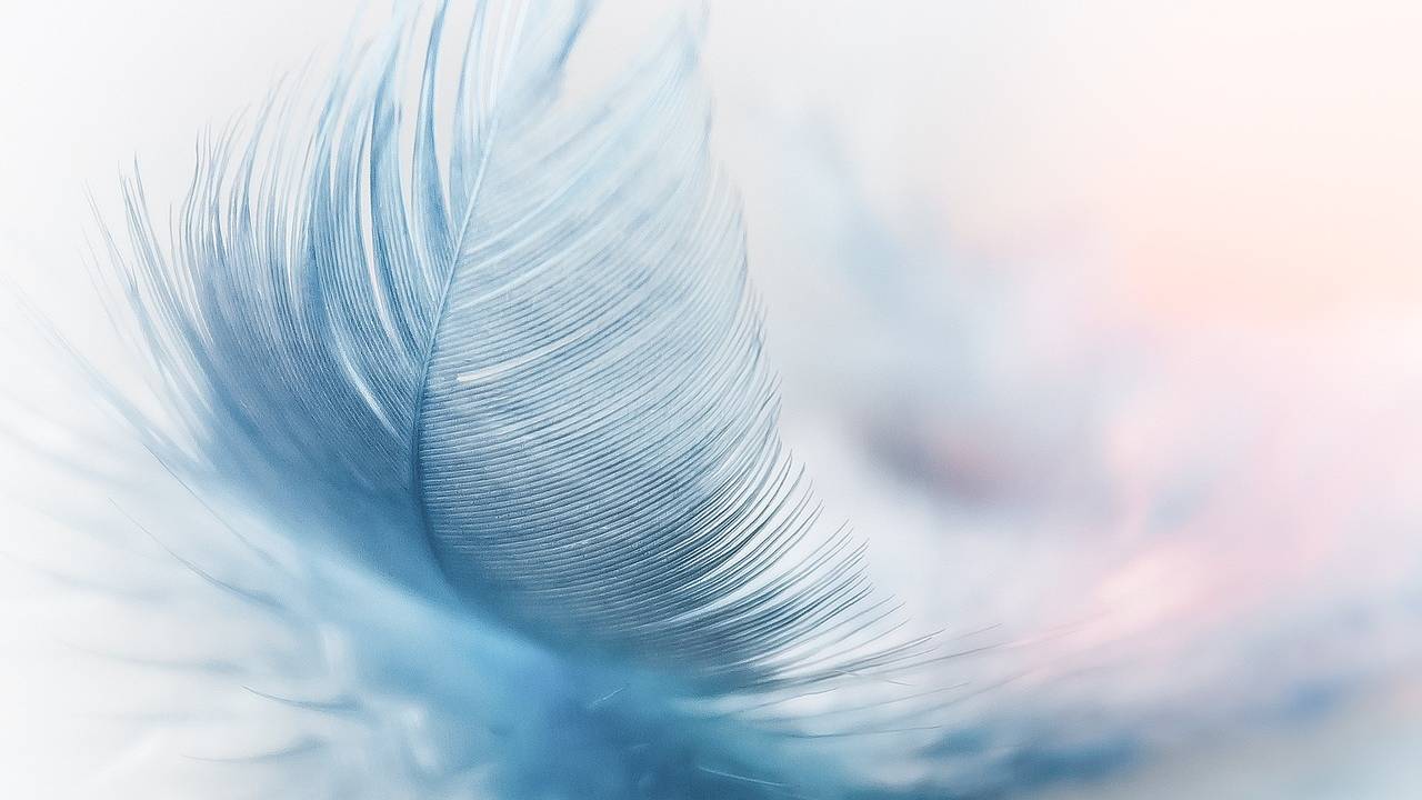 Pluma