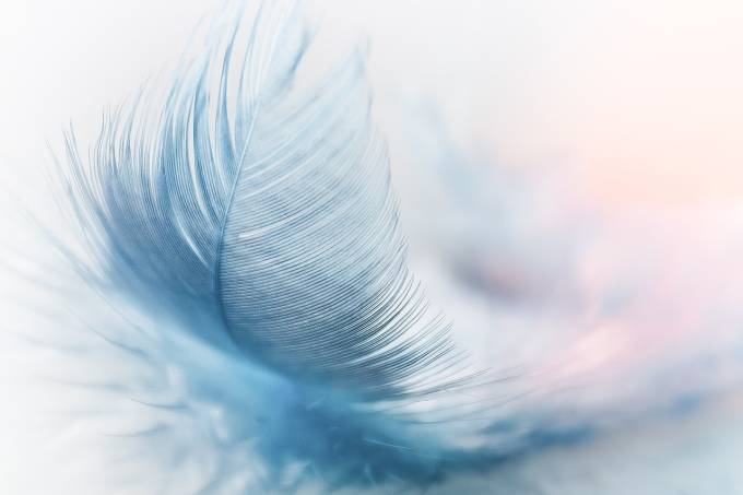 feather-3010848_1280