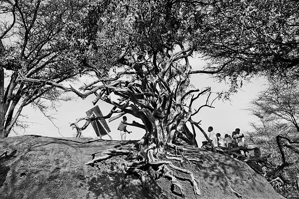 Imagem em preto e branco com um imenso baobá. À esquerda, está um homem, que parece ser um professor, com um quadro. À direita da árvorte, estão cinco pessoas.