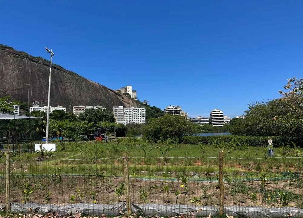 Foto mostra recuperação da Lagoa