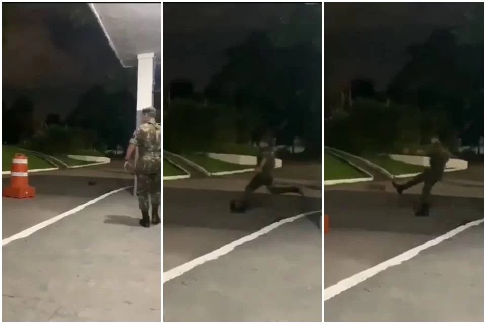 militar-chuta-animal-video-exercito