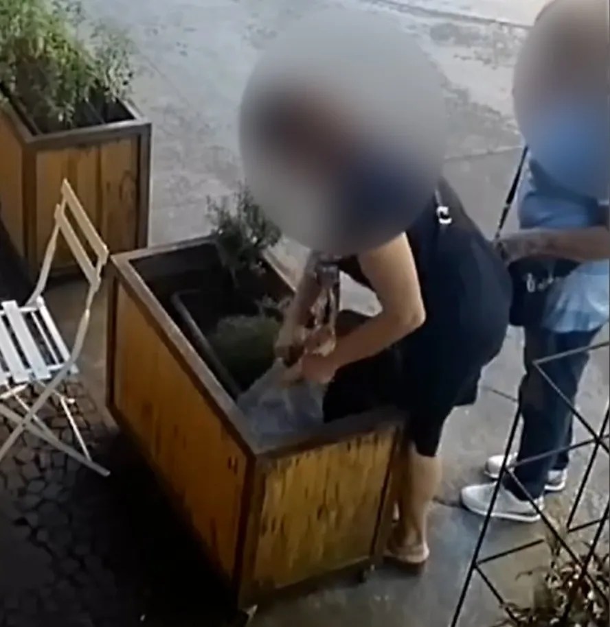 No Rio, nem plantas estão a salvo: mulher rouba pé de alecrim em padaria