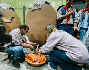 Amphora Wine Day