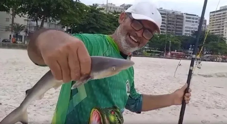Sem pânico: tubarão que não oferece riscos às pessoas é fisgado em Niterói