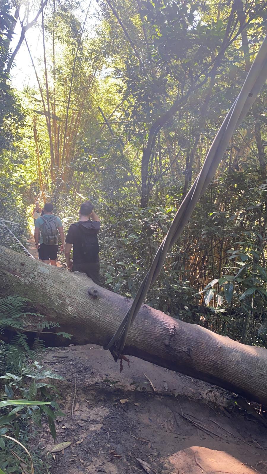 Ilha Grande: um paraíso que luta para não seguir às escuras