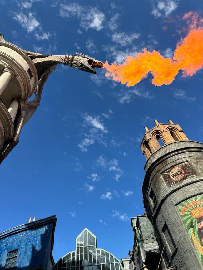 dragao harry potter dragao harry potter