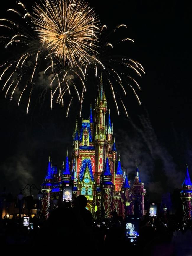 fogos magic kingdom fogos magic kingdom