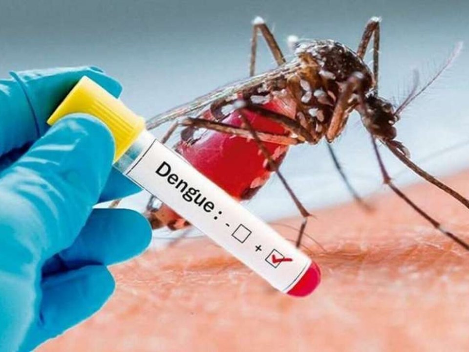 dengue-vacina