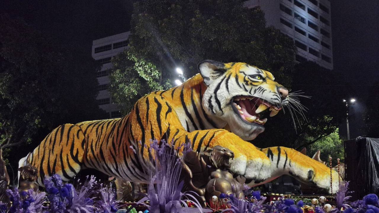 Escultura de Tigre no carro abre-alas da Porto da Pedra