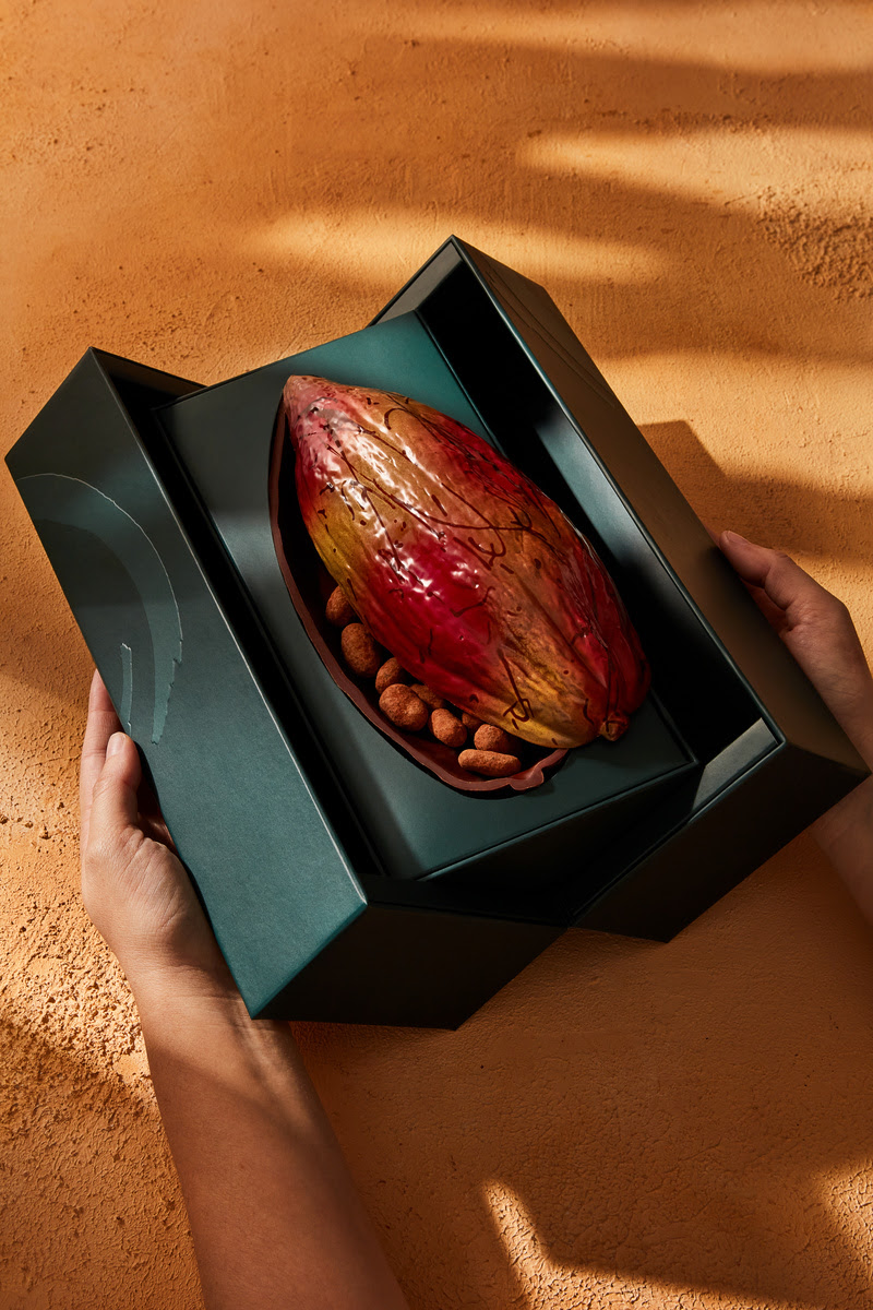 Dengo: chocolate premiado amazônico e apuro visual