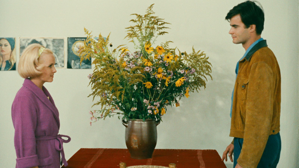 As Duas Faces da Felicidade (1965) - Agnès Varda.