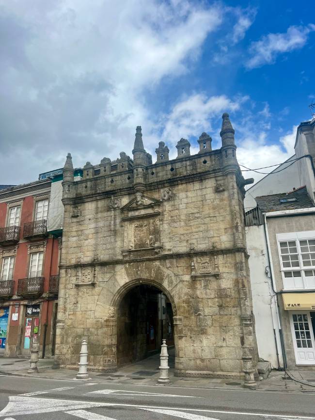 viveiro galicia viveiro galicia