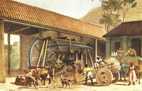 A imagem é uma gravura de Rugendas, do século XIX, que mostra uma moenda d’água sendo usada em um engenho de açúcar. Há animais na cena, como bois e cabras. Todo o trabalho está sendo feito por pessoas negras escravizadas.