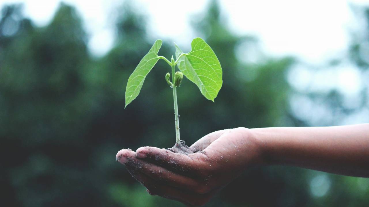Práticas de ESG ganham cada vez mais protagonismo no mercado de turismo